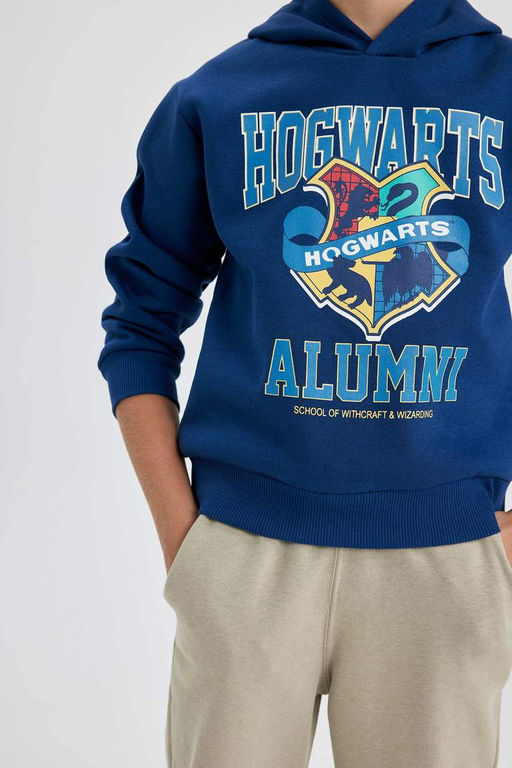 Толстая толстовка с капюшоном в стиле Гарри Поттера для мальчика - Defacto фото 4