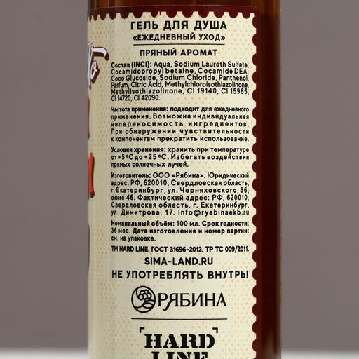 Гель для душа мужской С Новым Годом, бро!, 100 мл, аромат пряный, Чистое счастье  фото 4