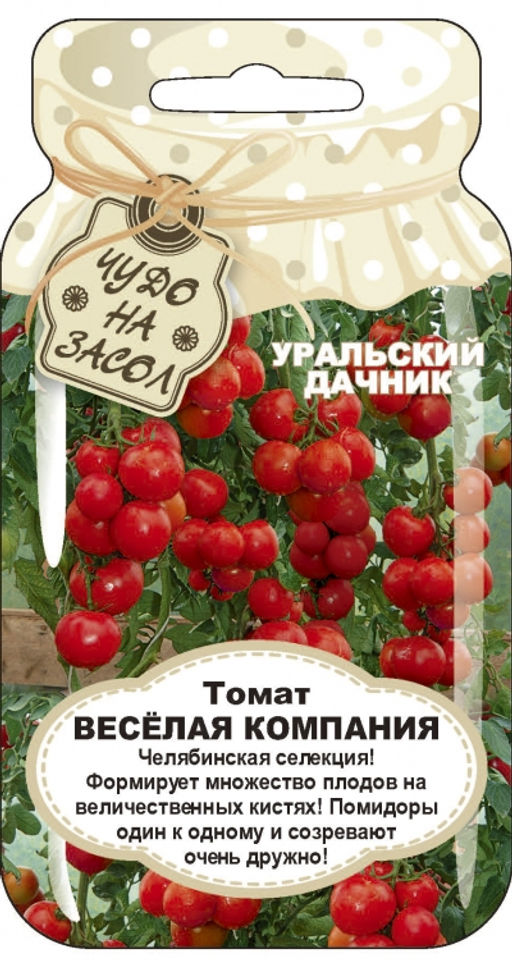 Томат ВЕСЁЛАЯ КОМПАНИЯ Формирует множество плодов на величественных кистях! Плоды один к одному и созревают очень дружно! - Уральский дачник фото 5