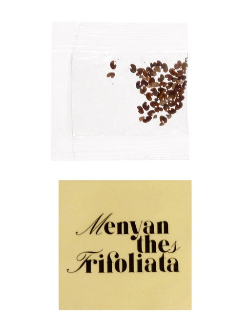 Набор для опытов Выращиваем травку своими руками, красный - Эврики фото 7