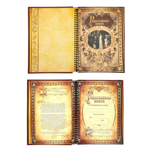 Родословная книга История семьи, 27 листов, 24.5 х 29.2 см - Семейные традиции фото 4