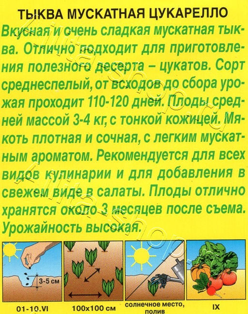Тыква мускатная Цукарелло 1г (Аэлита)