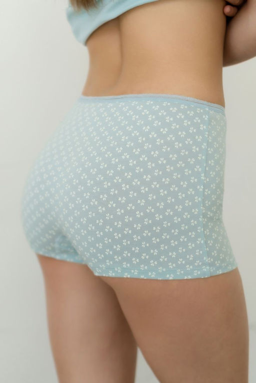 НАБОР ТРУСОВ ЖЕН. "SHORTS" (3 шт) арт. 1900W-40172.0L-S01