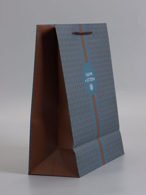 Пакет подарочный ламинированный «Статусный акцент», 26×12×32 см