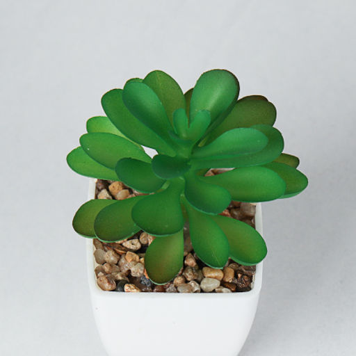 Цветочная композиция Кактус / WER-19 /уп 12/192/ микс - Галеонтрейд фото 11