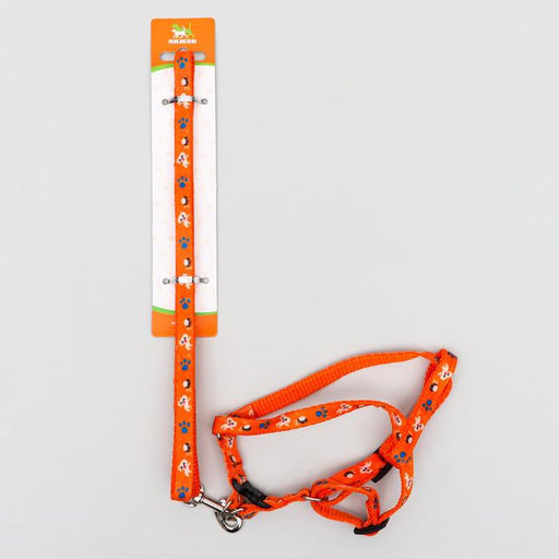 Комплект амуниции Собачки, поводок 120 х 1 см, ОГ 27-42 см, оранжевый - Пижон фото 6