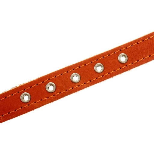 Ошейник кожаный на синтепоне, 45 х 2 см, ОШ 25-35 см, оранжевый - Пижон фото 4