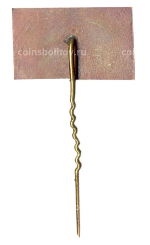 Значок Вильнюс