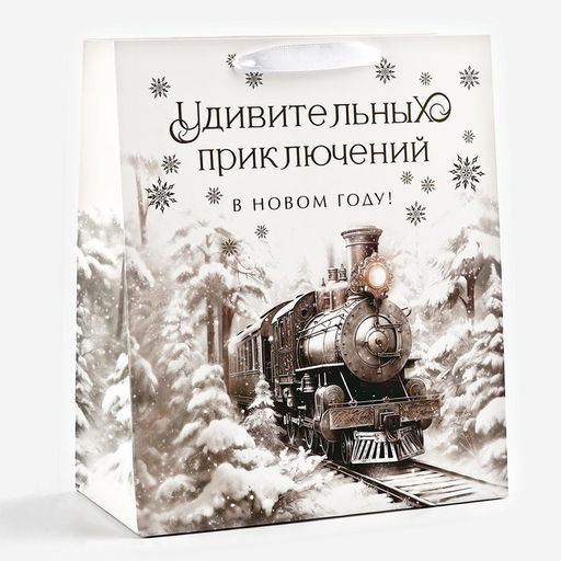 Пакет подарочный новогодний ламинированный «Приключений в новом году», тиснение, ML 23×27×11.5 см