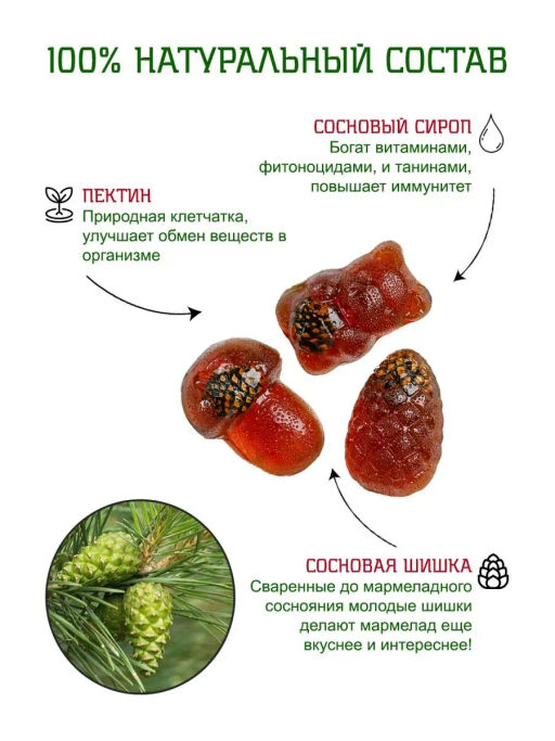 Мармелад сосновый с сосновой шишкой флоу-пак крафт-коробка 250г - Территория Тайги фото 4