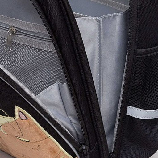 RAz-386-9 Рюкзак школьный
