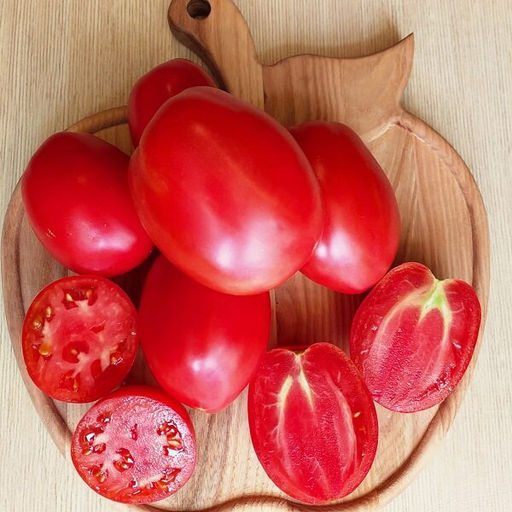 7046Т Томат Марта 10шт