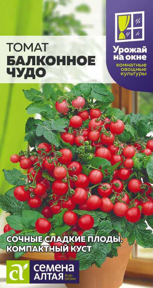 Томат Балконное Чудо/Сем Алт/цп 0,05 гр. УРОЖАЙ НА ОКНЕ!