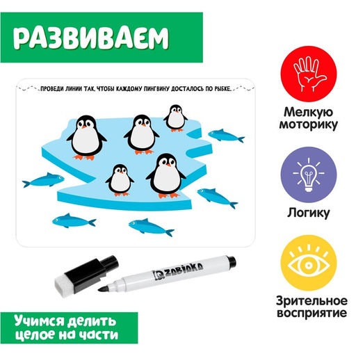 Развивающий набор «Целое и части», пиши-стирай