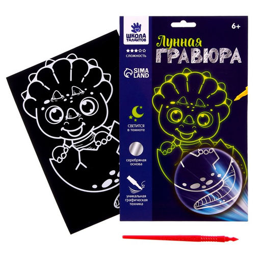 Набор для творчества: гравюра и раскраска объёмная из пластика Динополис - Школа талантов фото 3