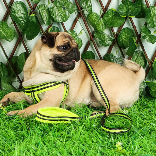 Комплект амуниции светоотражающий с мягкими шлейкой и ручкой, поводок 120 х 1,5 см, ОШ 35-53 см, жёл - Пижон фото 13