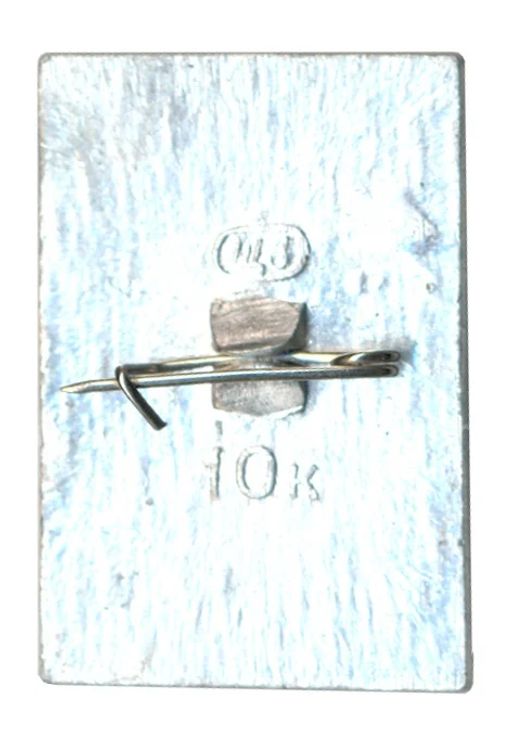 Значок Дубна