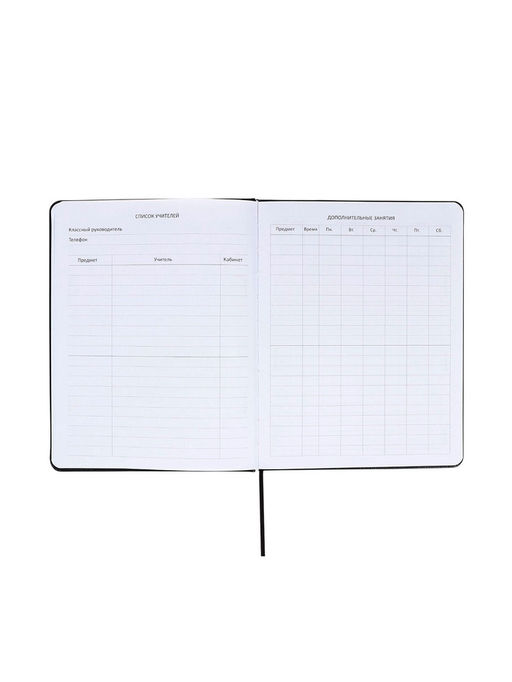 Дневник школьный 1-11 класс, deVENTE. Bee, ляссе, искусственная кожа, черный