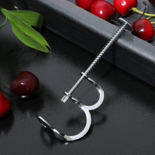 Цена за 2 шт. Удалитель косточек Доляна «Вишня», h=12.5 см, нержавеющая сталь, серебристый