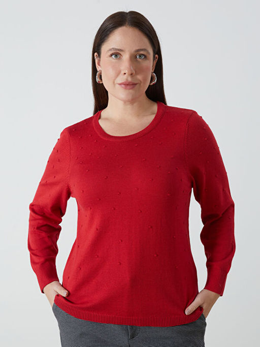 Bisiklet Yaka Kendinden Desenli Uzun Kollu Kad?n Triko Kazak - Waikiki фото 4