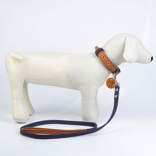 Комплект : ошейник (36-56х2.5 см) и поводок (130х1.5 см), цвет бежевый и синий - Пушистое счастье фото 2