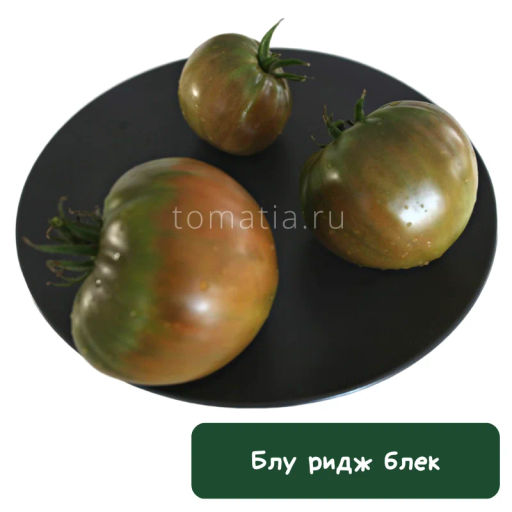 Блу ридж блэк