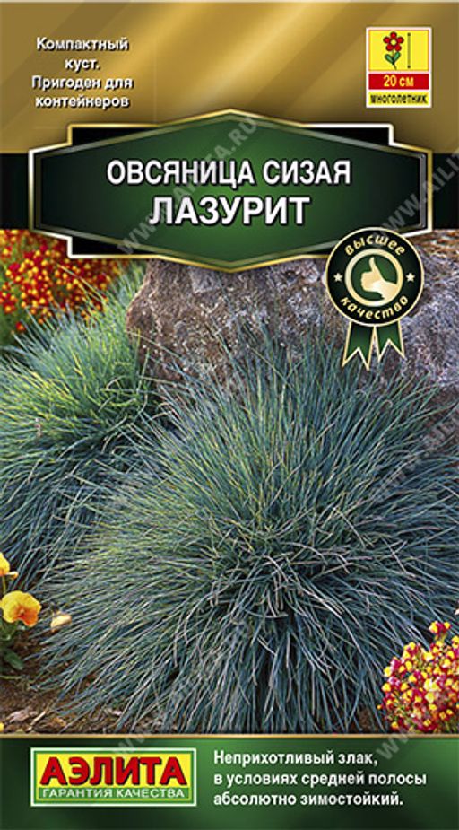 Овсяница сизая Лазурит