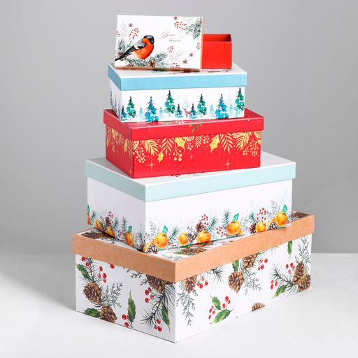 Набор коробок 10 в 1 Новогодний, 12 х 7 х 432.5 20 12.5 см 4 - Дарите счастье фото 3