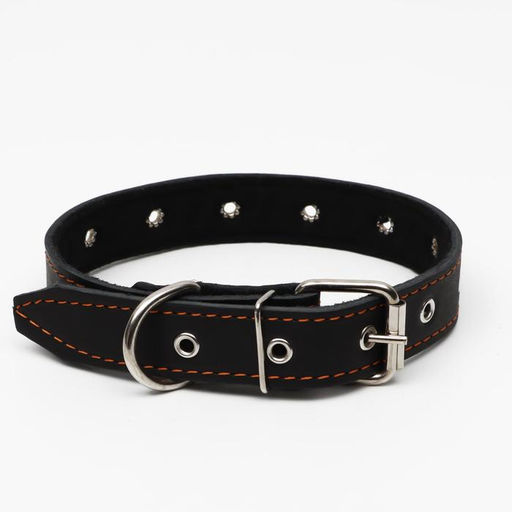 Ошейник кожаный на синтепоне, безразмерный, 65 х 3 см, ОШ 22-55 см, чёрный - Пижон фото 2
