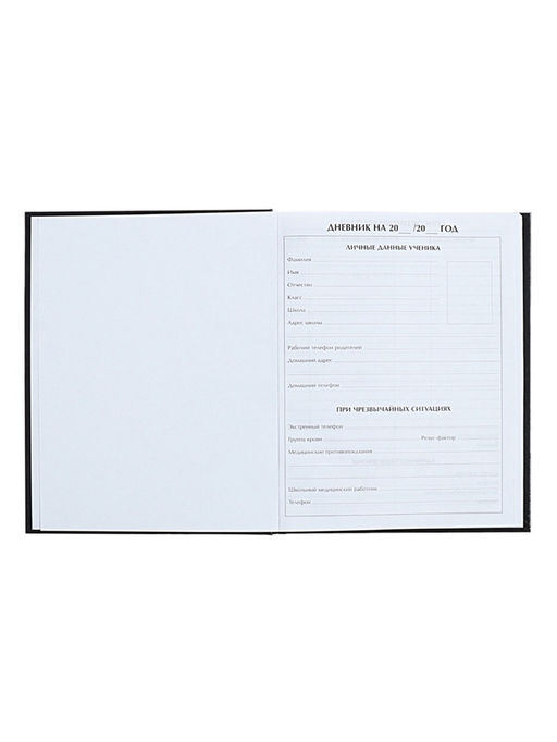 Цена за 2 шт. Дневник универсальный для 1-11 классов «Аноним», твёрдая обложка, глянцевая ламинация, 40 листов
