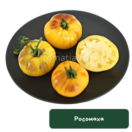 Росомаха