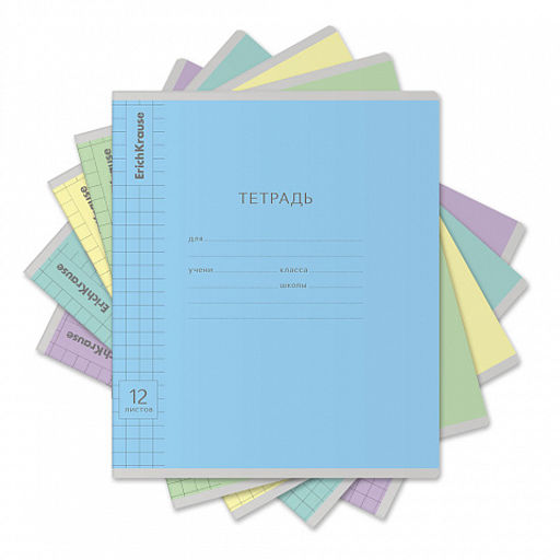 Цена за 280 шт. Тетрадь школьная ученическая ErichKrause Классика Visio ассорти, 12 листов, частая косая линейка (в плёнке по 10 шт.) фото 23