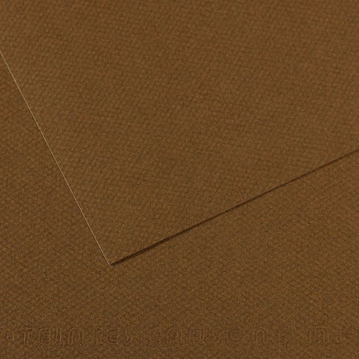 Canson Бумага для пастели Mi-Teintes 160 г/м2 A4 21 х 29.7 см лист 25 л. №501 Коричневый табак C31033S037