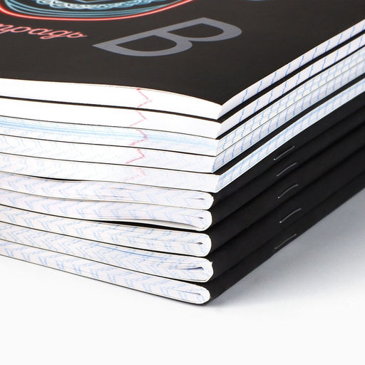 Тетради предметные, 48 л., набор из 10 шт., блок №1, софт тач лам, 3D лак «Неон»