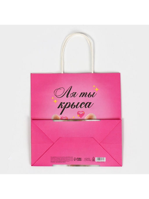Цена за 2 шт. Пакет подарочный, упаковка, Ля ты, 22?22?11 см