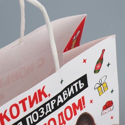 Пакет подарочный крафтовый Котик, 22 22 11 см - Дарите счастье фото 5