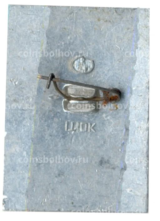 Значок Псков