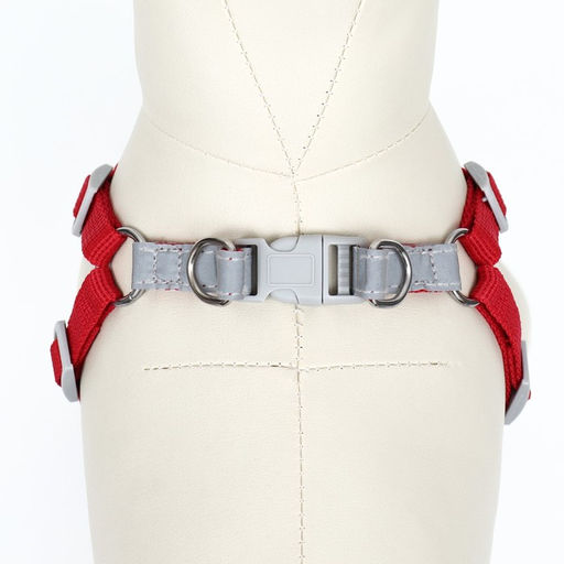 Комплект Sport+, М, поводок 120 x 1,5 см, ОШ 44-48 см, ОГ 51-60 см, вес животного 14-20 кг, красный - Пижон фото 5