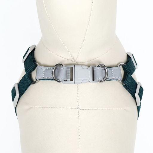 Комплект Sport+, М, поводок 120 x 1,5 см, ОШ 44-48 см, ОГ 51-60 см, вес животного 14-20 кг, зелёный - Пижон фото 5