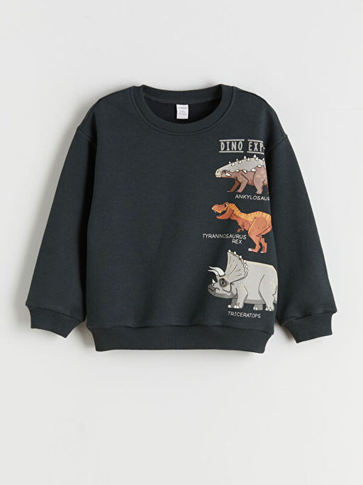 Dinazor Bask?l? Erkek ?ocuk Sweatshirt ve E?ofman Alt 2li