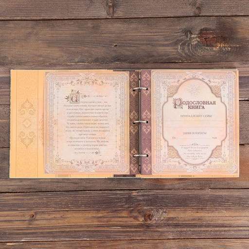 Родословная книга с рамкой под фото Семейная летопись, 22,5 х 23,7 см - Семейные традиции фото 11