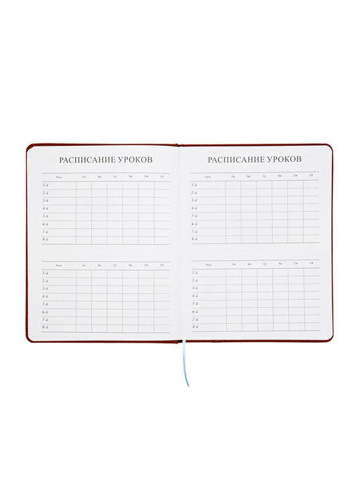 Дневник школьный 1-11 класс, ляссе, обложка искусственная кожа, с хлястиком, коричневый