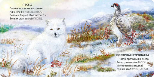Книжки - картонки. Загадки - рифмы. Животные - невидимки - Робинс фото 2