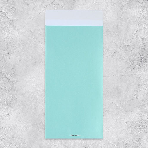 Набор подарочных конвертов «Поздравляю», 10 штук, тиснение, 11 х 22 см