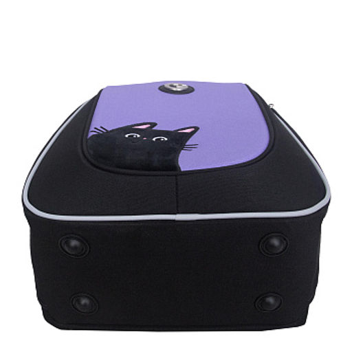 RAf-692-1 Рюкзак школьный с обвесом - Grizzly фото 7