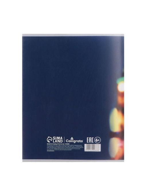 Тетрадь предметная Calligrata TOP «Школьный стиль», 48 листов в клетку Английский язык, со справочным материалом, пластиковая обложка, блок офсет