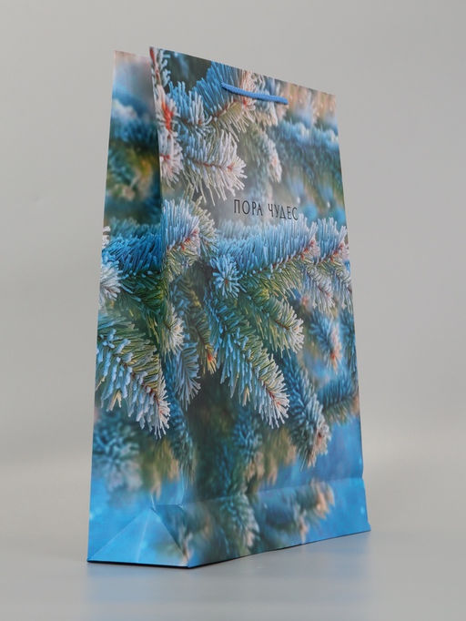 Пакет подарочный «Пора чудес. Заснеженная ель», 33×10×42.5 см