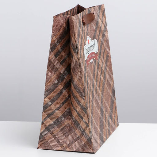 Цена за 2 шт. Пакет подарочный крафтовый, упаковка, Поздравляю от всей души!, ML 23?27?11.5 см