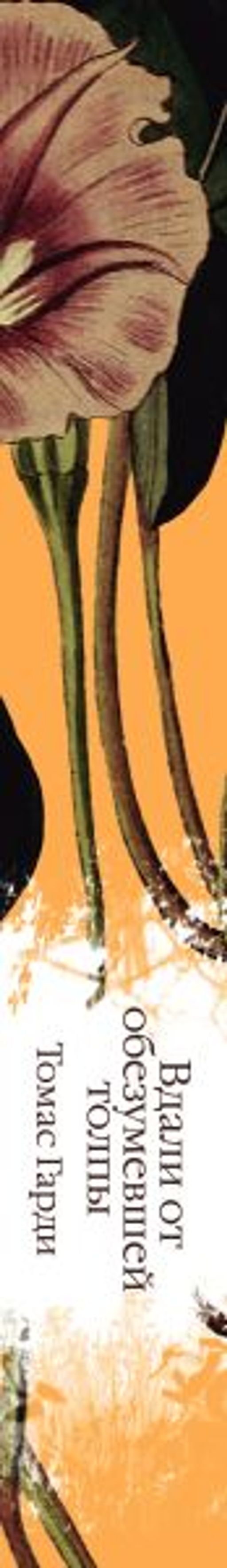 Вдали от обезумевшей толпы (книга #3)