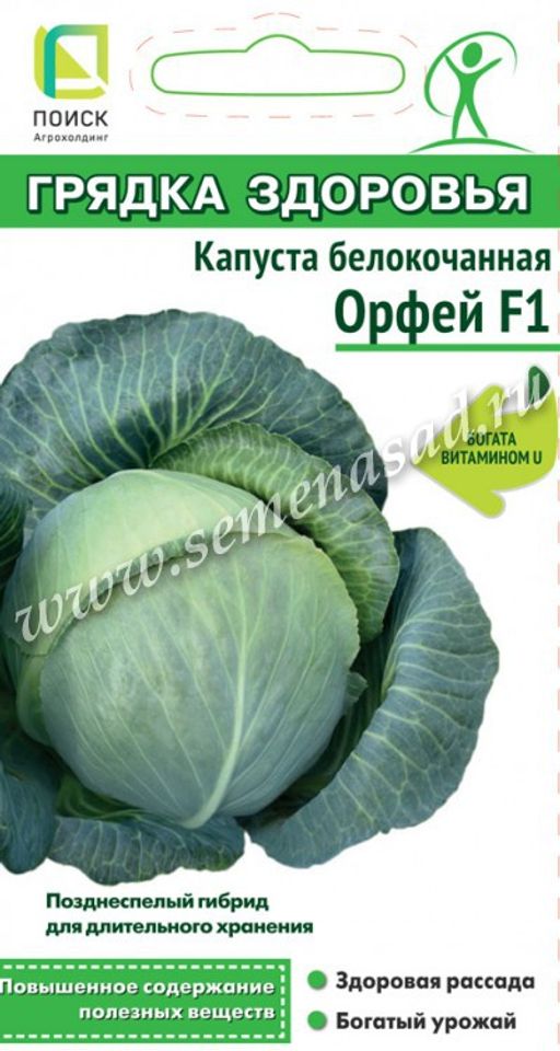 Капуста белокочанная Орфей F1 (сер.Грядка здоровья) (А) (ЦВ) 0,2гр